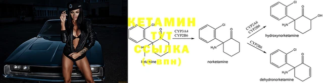 2c-b Богданович